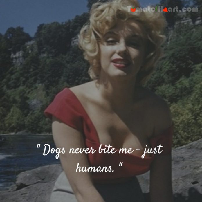 Marilyn Monroe Quotes By tomatoheart 5