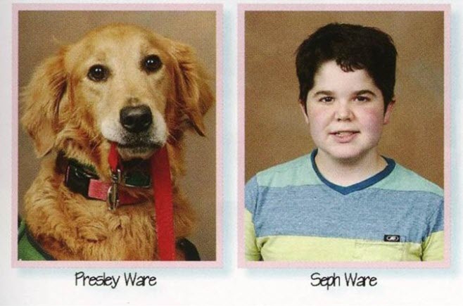This Cute Service Dog Gets Featured In School's Yearbook, Read To Know Why Tomatoheart.com 1