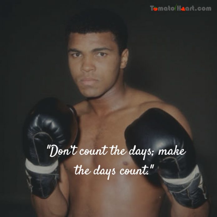 Muhammad Ali The Greatest Boxer Quotes Tomatoheart00010 (4)