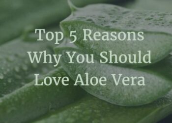 Top 5 Reasons Why You Should Be Using Aloe Vera Regularly In Your Daily Life Tomatoheart.com 3