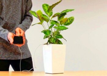 Can You Charge Your Phone With The Power of A Plant ? With "Bioo", You Can. Tomatoheart.com 1