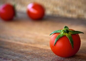 This Is Why I chose To Work For Tomatoheart, While Knowing It's just 2 Months Old Startup Tomatoheart.com 11