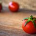 tomatoheart tomato heart | This Is Why I chose To Work For Tomatoheart, While Knowing It's just 2 Months Old Startup long distance relationship | 24 This Is Why I chose To Work For Tomatoheart, While Knowing It's just 2 Months Old Startup Tomatoheart.com 11