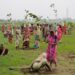 tt3 | India Breaks Guinness World Record- Allahabad Plants 50 Million Trees in One Day appealing roles | 16 India Breaks Guinness World Record- Allahabad Plants 50 Million Trees in One Day Tomatoheart.com 10