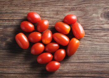 Want Tomato Heart? 15 Proven Ways to Make Your Heart Healthy and Saucy Tomatoheart.com 29