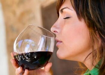 21 Unconventional Careers That Would Tempt You To Leave Your Job Tomatoheart.com 1