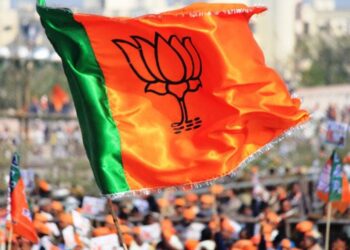 Yes! BJP Is The Ruling Party And Yes, I support it. But Stop Before You Start Judging Me Tomatoheart.com 2