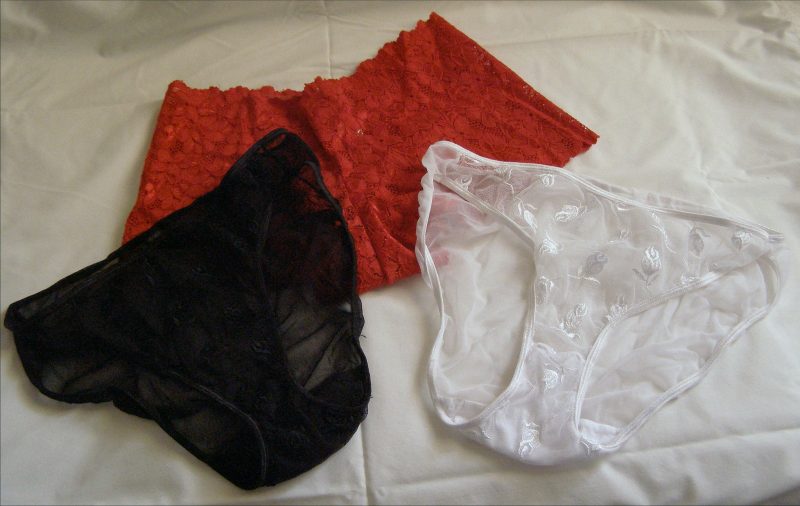 Used Panties Knickers1 e1472973598484 WTF! She Sold Her Used Panties for $5,000 That She Continuously Wore for Three Weeks on His Demand Tomatoheart 2