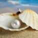 Pearl in shell square pearl.org .in e1475407191247 | Hidden Meaning Behind These 10 Tiny yet so Precious Gemstones younger sibling | 33 gemstones