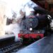 h2 | Come Board The Hogwarts Express And Get to Visit the Harry Potter Festival! appealing roles | 22 Come Board The Hogwarts Express And Get to Visit the Harry Potter Festival! Tomatoheart.com 2