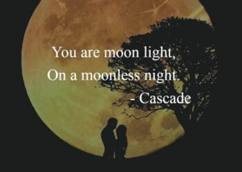 love-lust-moon-light-tomatoheart