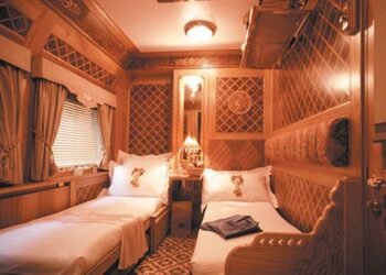 15 Luxurious Trains That Will Beat Even Some Posh Hotels Tomatoheart.com 25