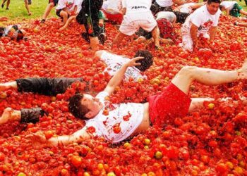 9 Alluring Facts About The La Tomatina Festival Tomatoheart.com 1