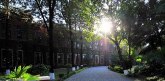 doon school dehradoon