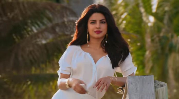 priyanka chopra tomatoheart